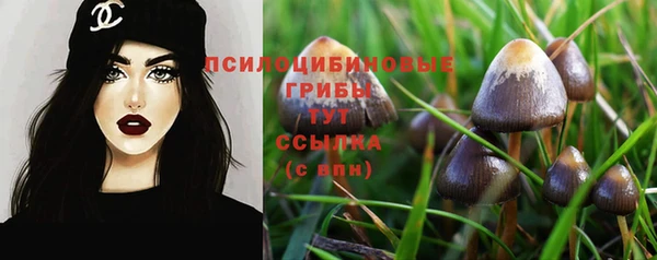 кокс Заводоуковск