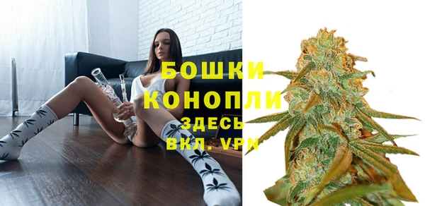 мдпв Заволжск